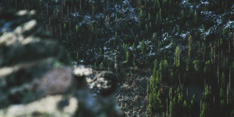 LH之家室内设计指南：羊毛、丝绸、亚麻家居纺织品的专业清洁与保养终极手册