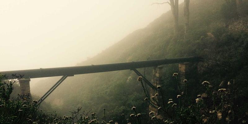 宠物友好型家居设计指南：现代家具、装饰与智能用品的完美融合