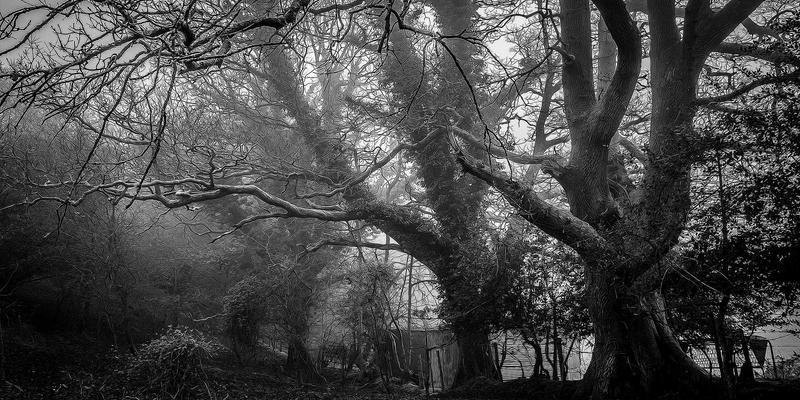 室内设计与家居装饰的现代家具最佳实践：打造理想生活空间