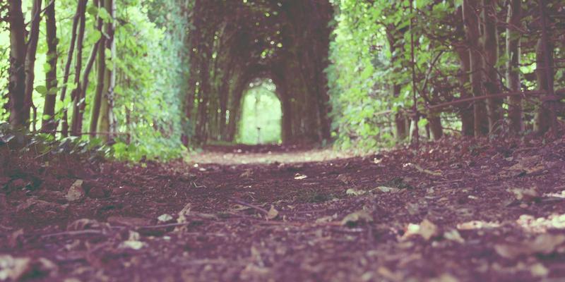 家居用品39：融合室内设计、现代家具与智能家居的未来生活图景