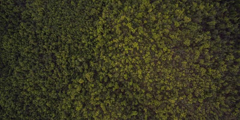 家居用品42：当未来主义美学重塑装饰设计新范式