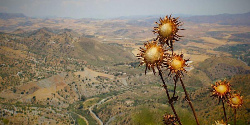家居用品52：室内设计与装饰设计的完美融合指南