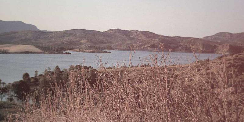 家居用品96：融合现代家具与装饰智慧，打造理想生活空间