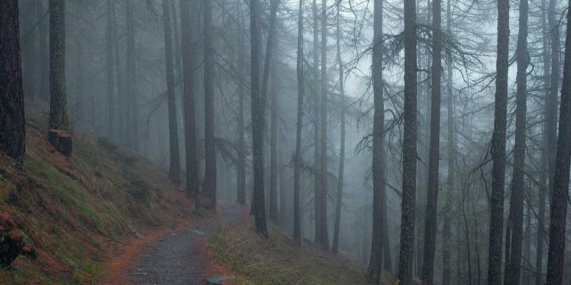 家居用品进阶：从基础功能到装饰设计与室内设计的融合艺术