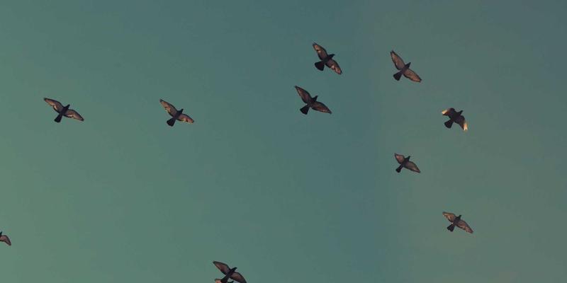 家居装饰的未来主义革命：智能、可持续与极简的完美融合