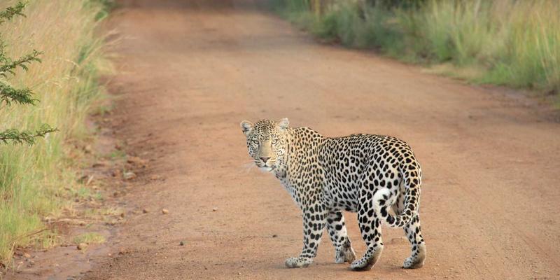 智能家居与现代家具的融合：重新定义家居用品的未来