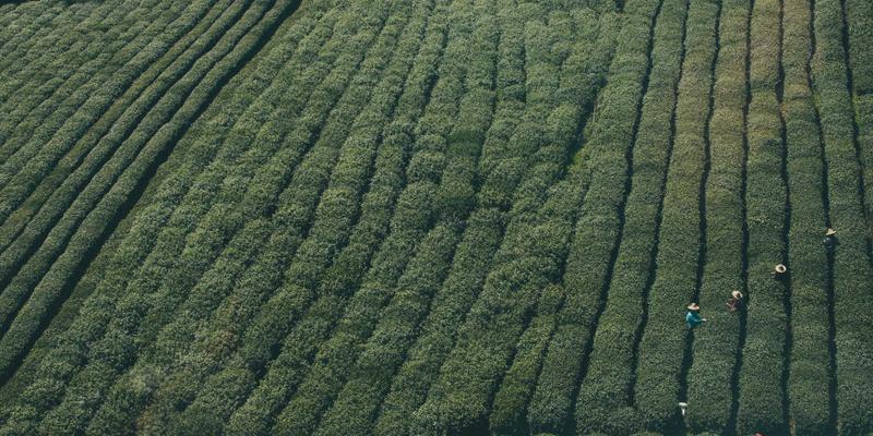 智能家居时代厨房收纳革命：基于动线分析与模块化配件的极致空间利用方案