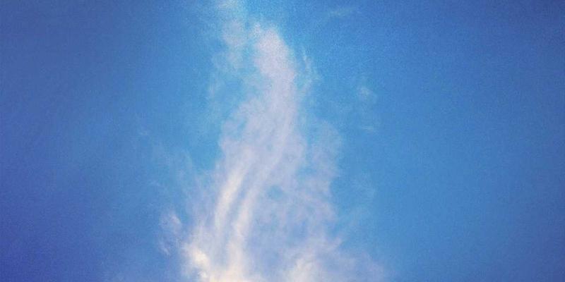 未来主义室内设计中的家居纺织品保养指南：真丝、羊毛与羽绒制品的专业清洗与存放方法