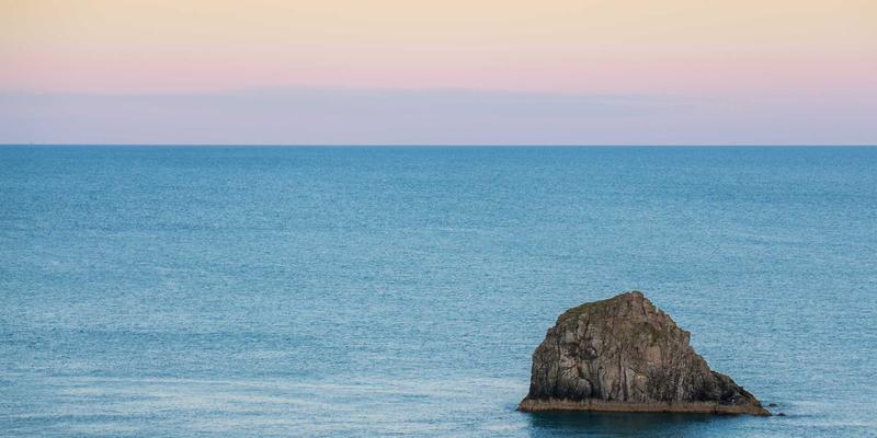 未来主义家居装饰指南：10种净化空气的智能绿植养护大全