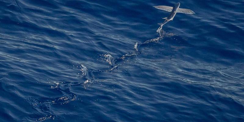 未来主义家居装饰设计：用环保材料与工艺打造可持续生活空间