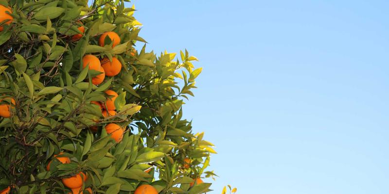 未来主义智能家居：小户型收纳革命中的隐形储物与多功能家具极致方案